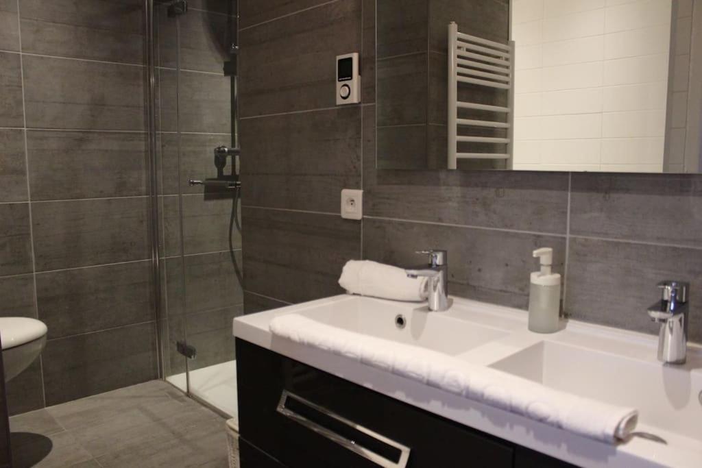 Le Jane : Centre Ville, Garage, Balcon Annecy Ngoại thất bức ảnh