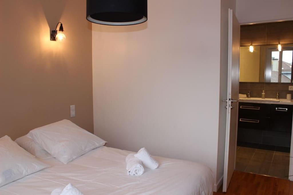 Le Jane : Centre Ville, Garage, Balcon Annecy Ngoại thất bức ảnh